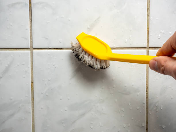 Best Local Mold Removal Service  in Ashburn, GA