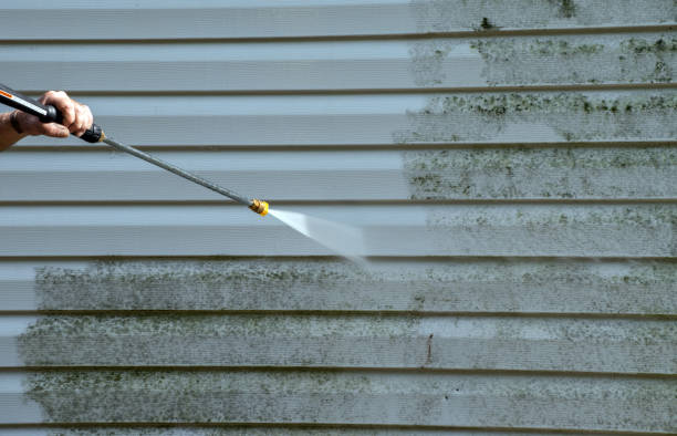 Professional Mold Removal in Ashburn, GA