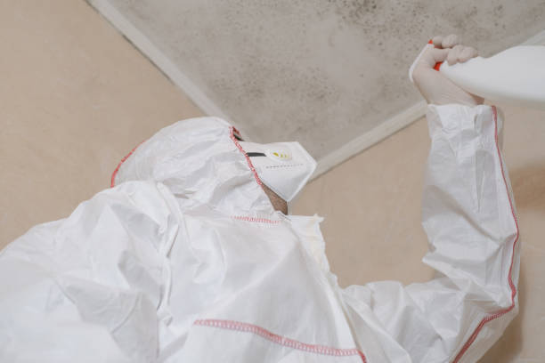 Best Mold Remediation  in Ashburn, GA