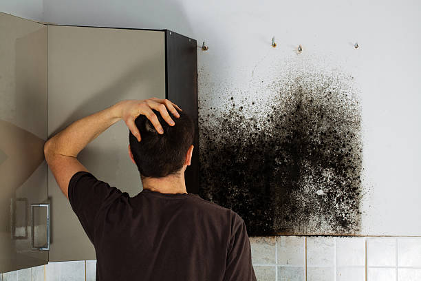 Best Crawl Space Mold Removal  in Ashburn, GA