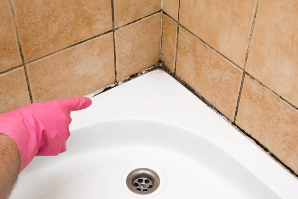 Best Crawl Space Mold Removal  in Ashburn, GA